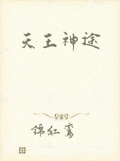 天王神途