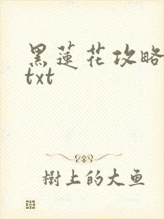黑莲花攻略手册txt