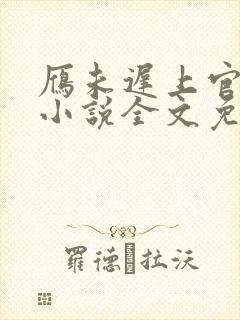 雁未迟上官穿越小说全文免费阅读