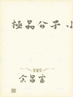 极品公子 小说封面