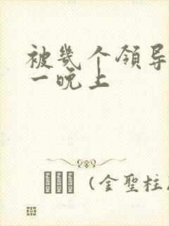 被几个领导玩弄一晚上
