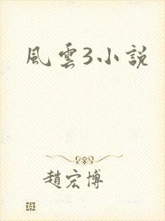 风云3小说