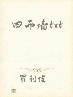四面墙txt