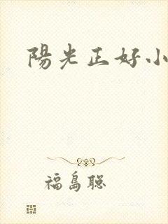 阳光正好小说