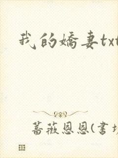我的娇妻txt