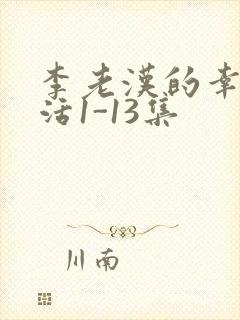 李老汉的幸福生活1-13集封面