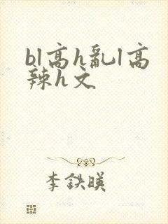 bl高h乱l高辣h文封面