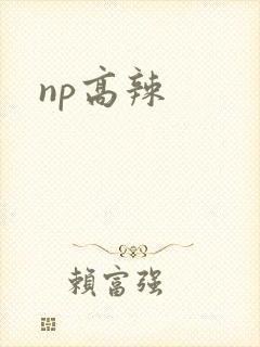 np高辣
