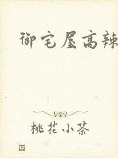 御宅屋高辣文