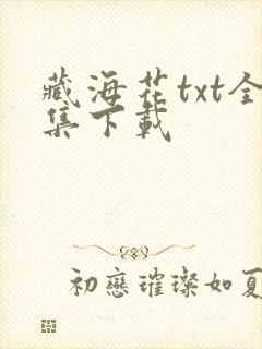 藏海花txt全集下载
