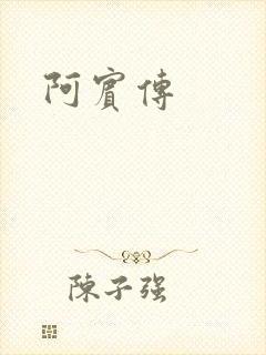 阿宾传封面