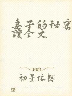 妻子的秘密免费读全文封面