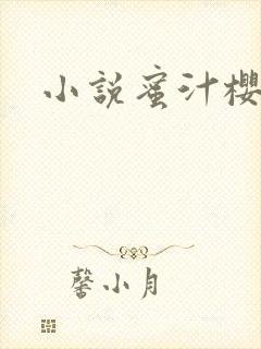 小说蜜汁樱桃封面