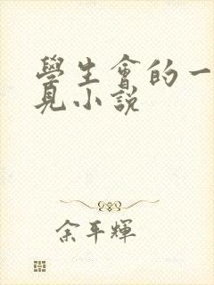 学生会的一己之见小说封面