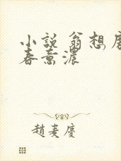 小说 翁想房中春意浓