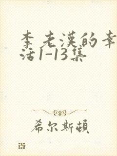 李老汉的幸福生活1-13集