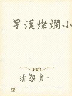 星汉灿烂小说