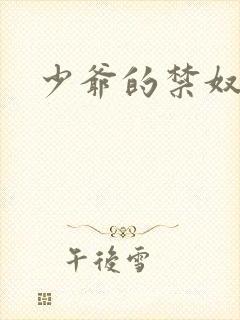 少爷的禁奴