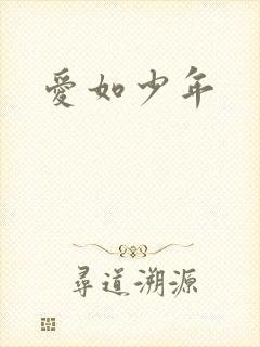 爱如少年