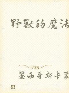野兽的魔法师封面