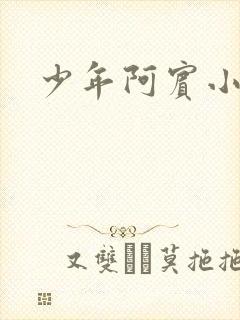少年阿宾小说