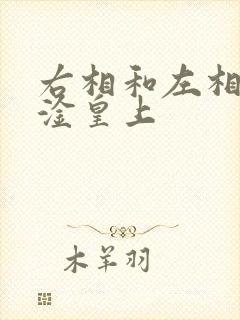 右相和左相一起淦皇上