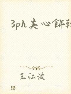 3ph夹心饼干封面