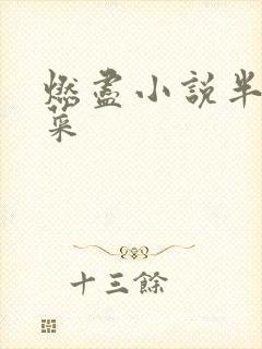 燃尽小说半截白菜