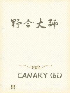 野合大师