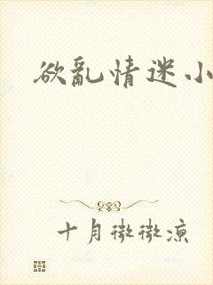 欲乱情迷小说