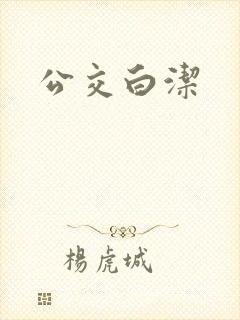公交白洁封面
