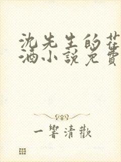 沈先生的花式调酒小说免费阅读