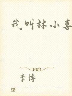 我叫林小喜17