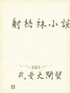 射丝袜小说