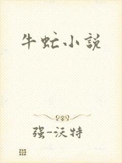 牛虻小说
