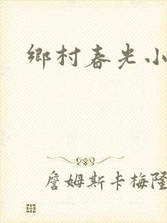 乡村春光小说