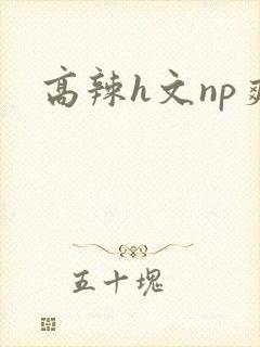 高辣h文np爽