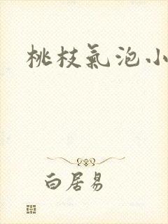桃枝气泡小说