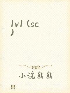 1v1 (sc)