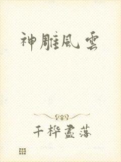 神雕风云