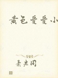 黄色爱爱小说