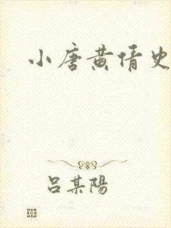 小唐黄倩史封面