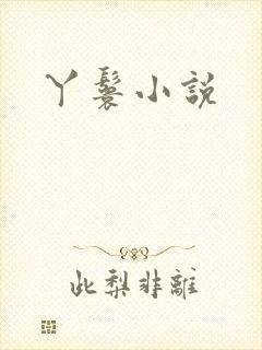 丫鬟小说