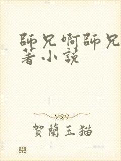 师兄啊师兄的原著小说封面