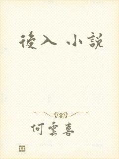 后入 小说