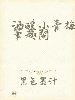 酒酿小青梅po笔趣阁