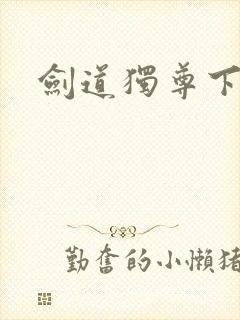 剑道独尊下载封面