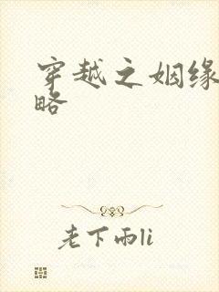 穿越之姻缘劫攻略