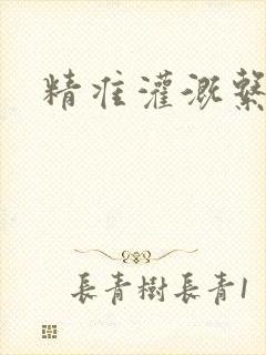 精准灌溉系统
