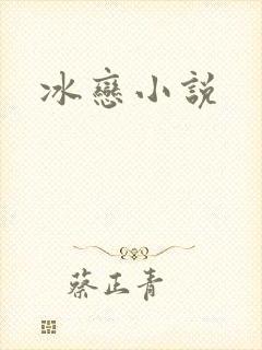 冰恋小说封面